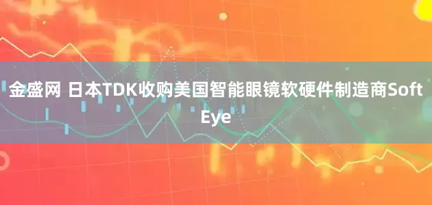 金盛网 日本TDK收购美国智能眼镜软硬件制造商SoftEye