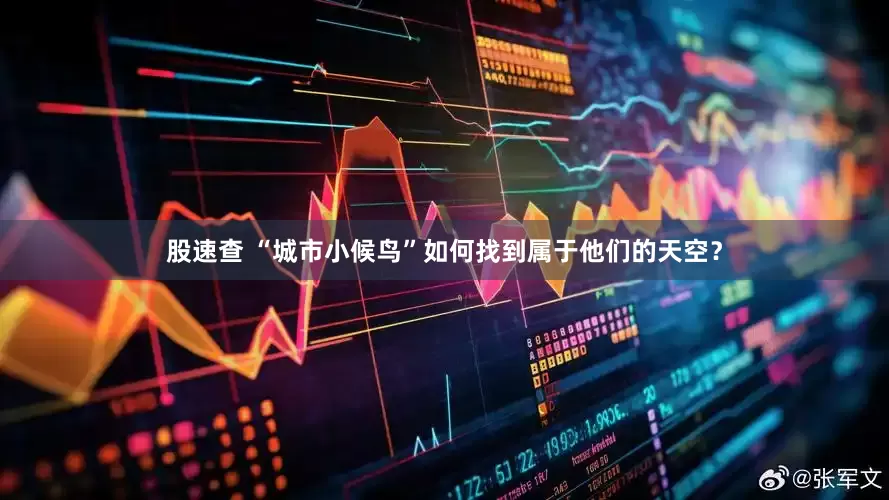股速查 “城市小候鸟”如何找到属于他们的天空？