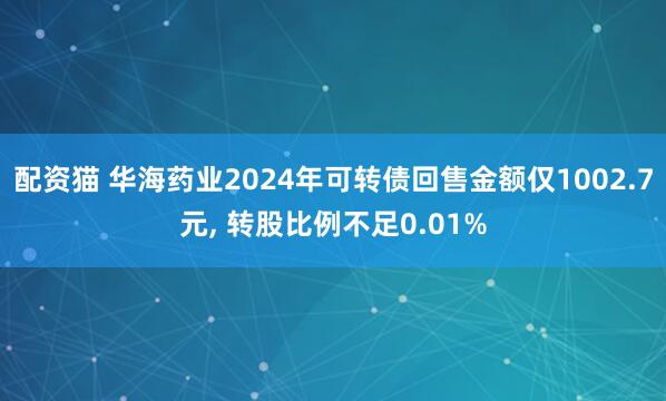 配资猫 华海药业2024年可转债回售金额仅1002.7元, 转股比例不足0.01%