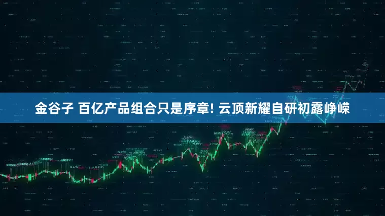 金谷子 百亿产品组合只是序章! 云顶新耀自研初露峥嵘