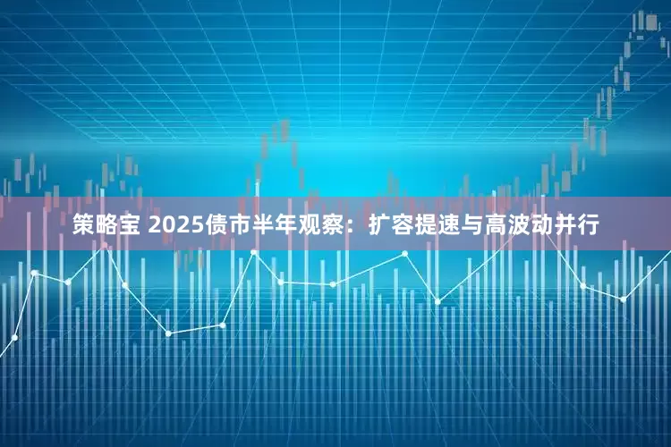 策略宝 2025债市半年观察：扩容提速与高波动并行