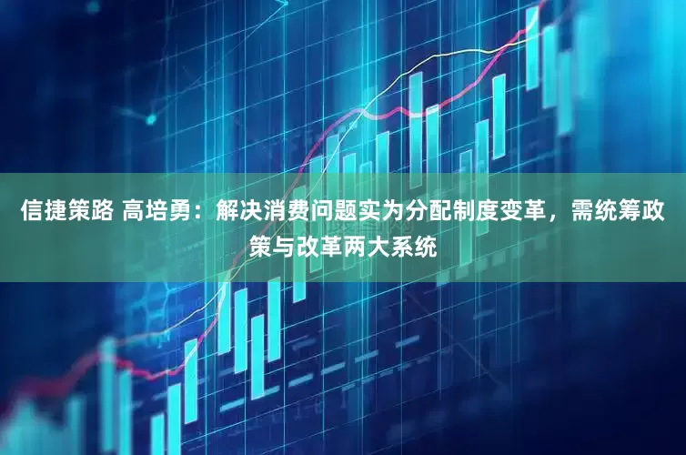 信捷策路 高培勇：解决消费问题实为分配制度变革，需统筹政策与改革两大系统