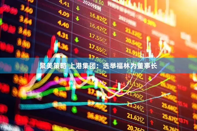 聚美策略 上港集团：选举福林为董事长